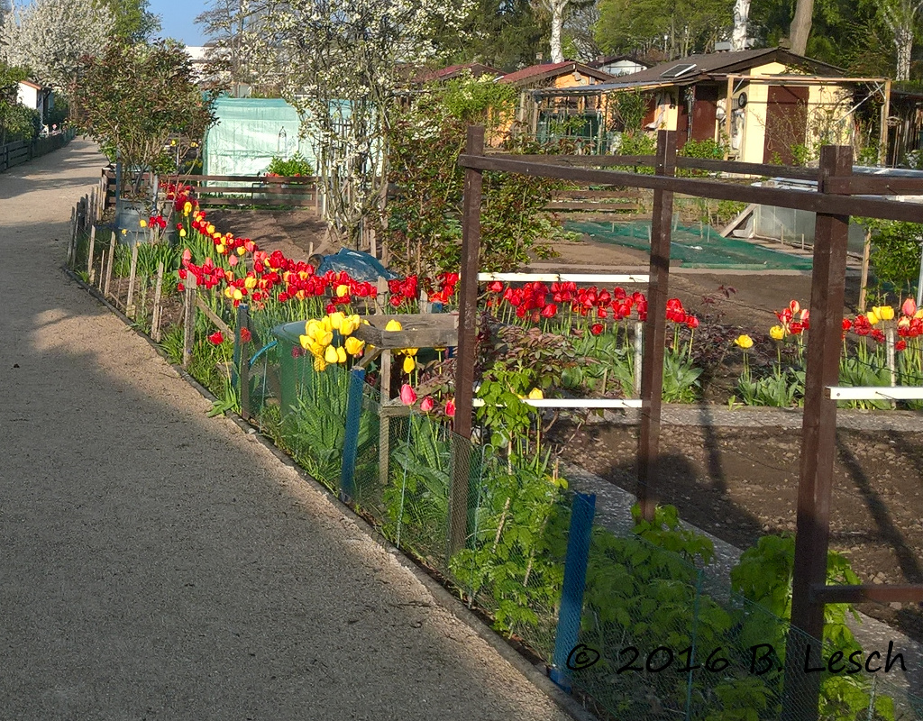 wp 20160430 07 20 34 pro 1